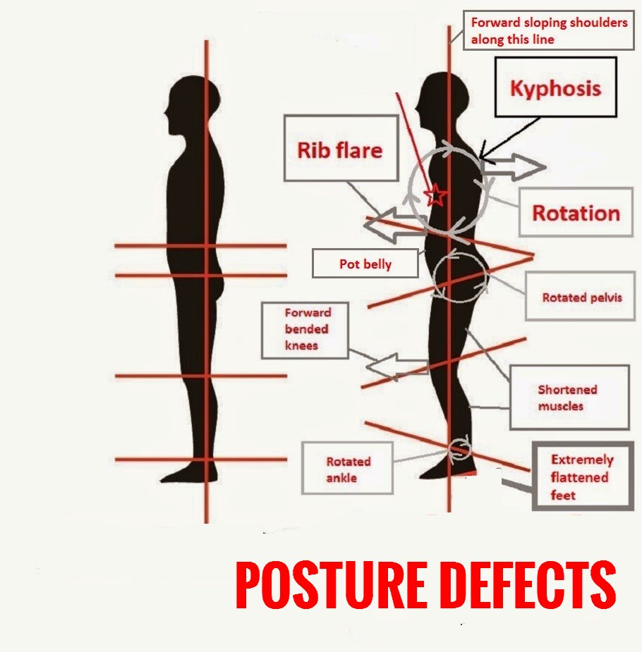 Posture vector vectors hi-res stock photography and images - Alamy